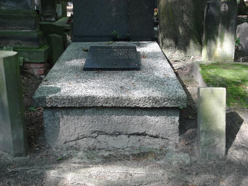 Zdjęcie grobu: Witold De Nisau