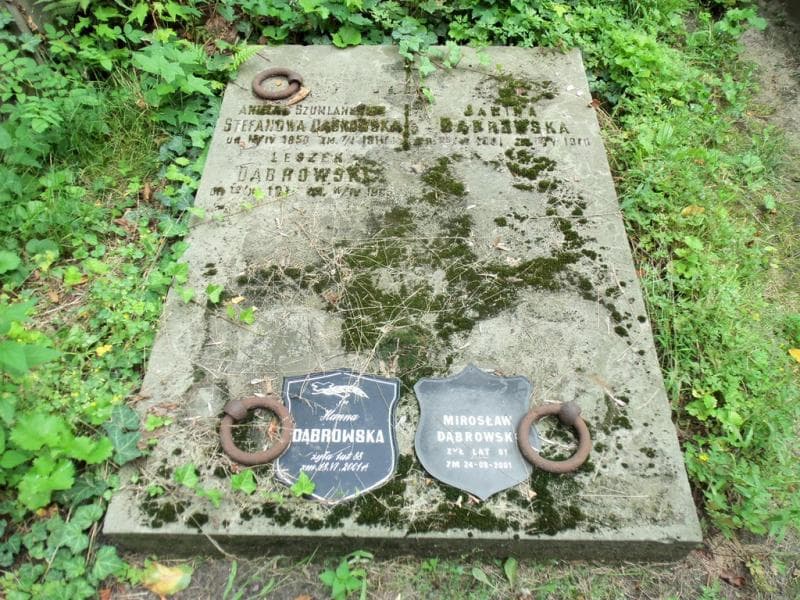 Zdjęcie grobu Aniela Dąbrowska (2)