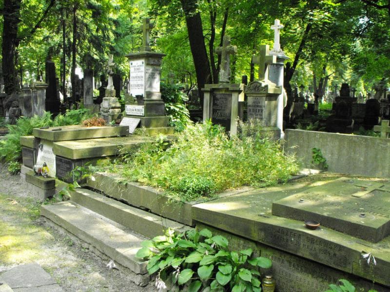 Zdjęcie grobu Ludomir Dżwikowski (2)