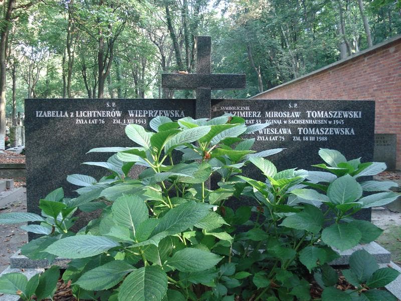 Zdjęcie grobu Amelia Wiesława Tomaszewska (2)