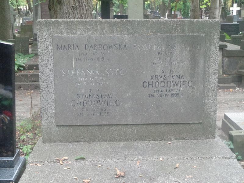 Zdjęcie grobu Stanisław Chodowiec (2)