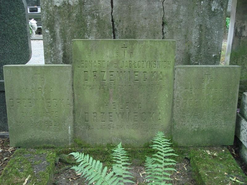 Zdjęcie grobu Maria Drzewiecka (1)