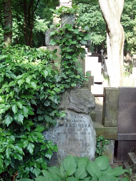 Zdjęcie grobu Barbara Dąbrowska (1)