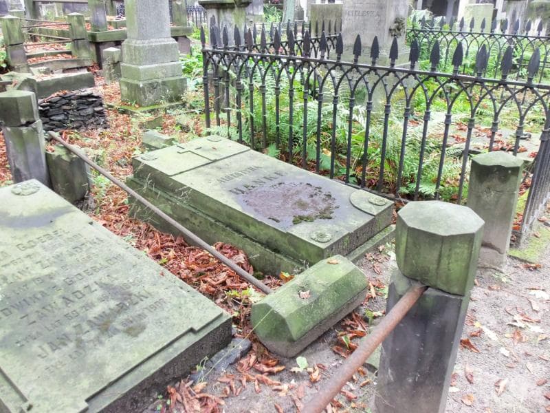 Zdjęcie grobu Albertyna Hanke (1)