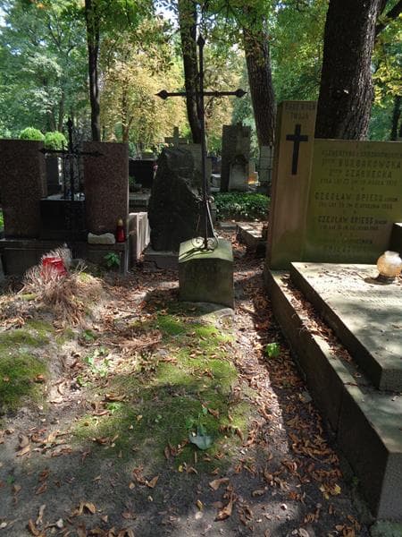 Zdjęcie grobu: Stefan Gosławski
