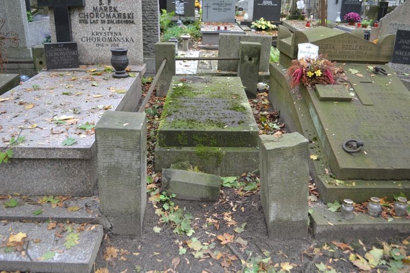 Zdjęcie grobu Bednarski (1)