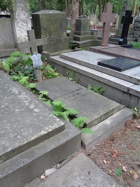Zdjęcie grobu: Helena Wrońska