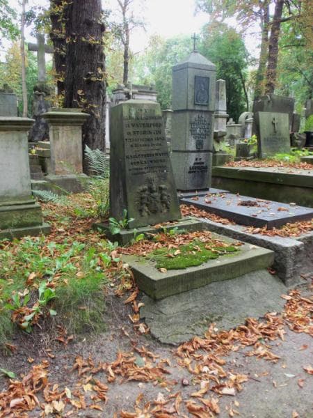 Zdjęcie grobu Ludwika De Waterford De Stojentin (1)