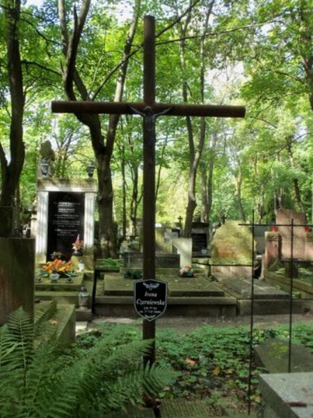 Zdjęcie grobu Janina Czerniewska (2)