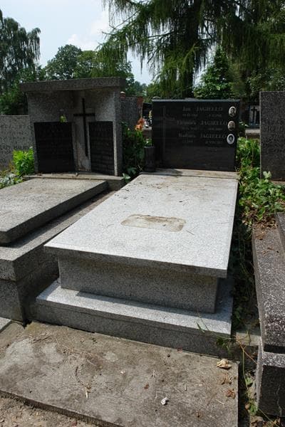 Zdjęcie grobu Jan Jagiełło (1)