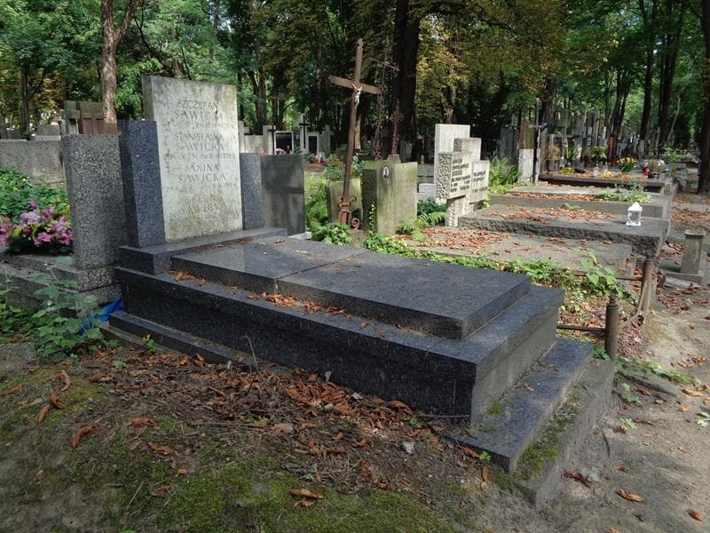 Zdjęcie grobu: Szczepan Sawicki