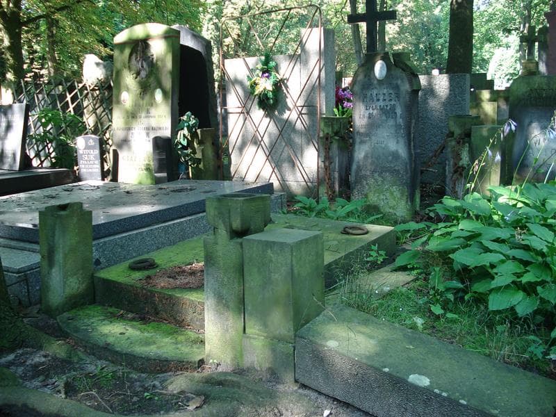 Zdjęcie grobu Roman Hauzer (1)