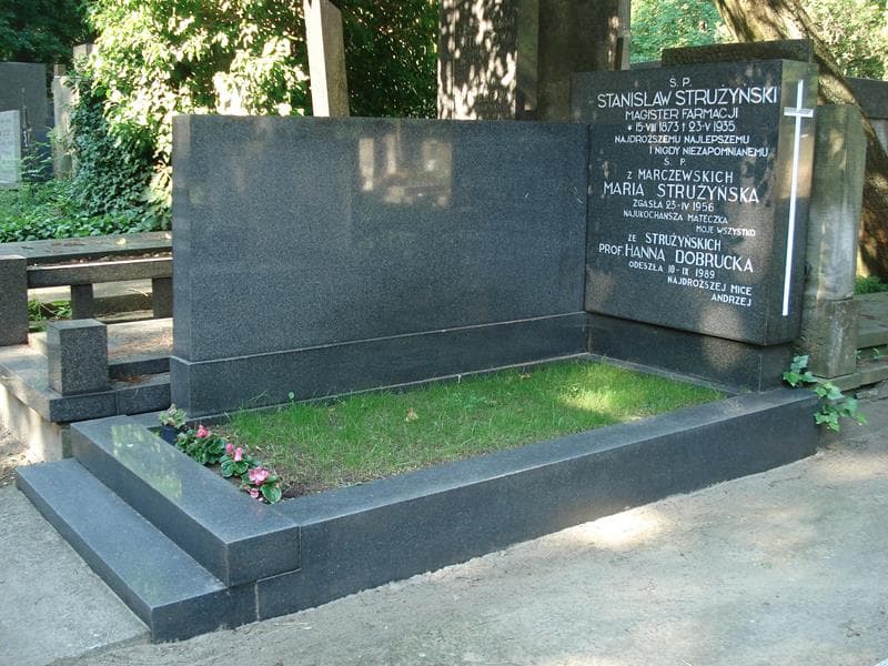 Zdjęcie grobu Maria Strużyńska (1)