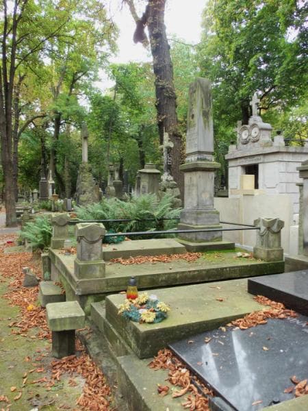 Zdjęcie grobu Zofia Maternicka (1)
