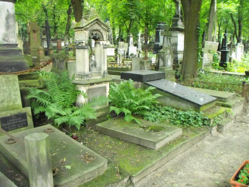 Zdjęcie grobu Tomasz Flażyński (1)