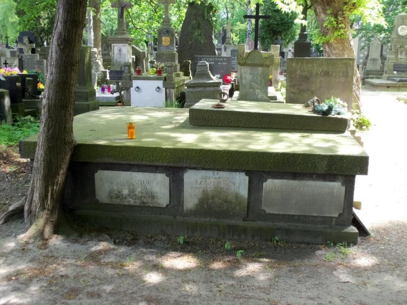 Zdjęcie grobu Maria Strasburger (1)