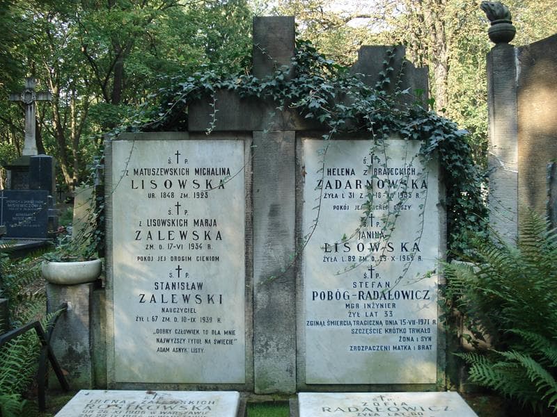 Zdjęcie grobu Stefan Pobóg-Radałowicz (2)