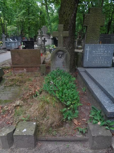 Zdjęcie grobu Helena Adamczewska (1)