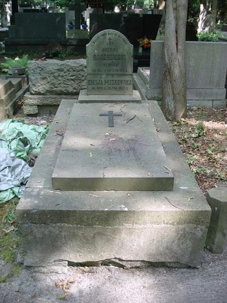 Zdjęcie grobu Magdalena Roszkowska (1)