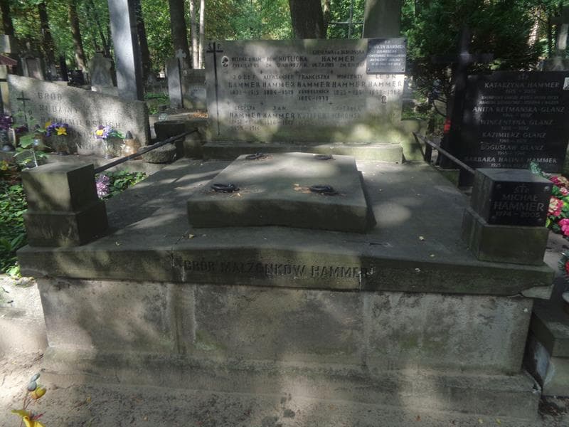 Zdjęcie grobu Leon Hammer (1)