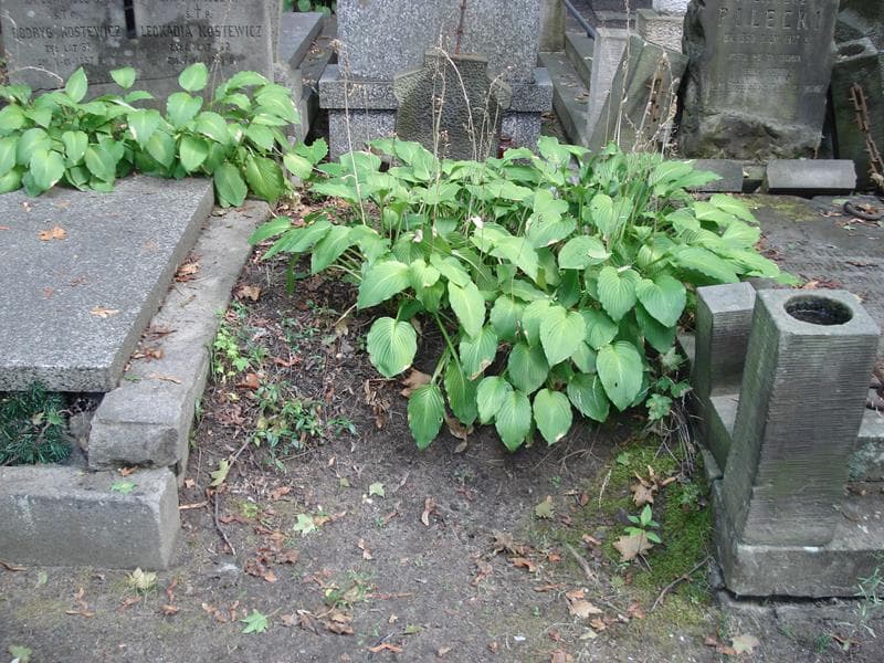 Zdjęcie grobu Pole Grobowe (1)