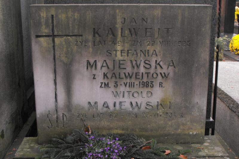 Zdjęcie grobu Witold Majewski (2)