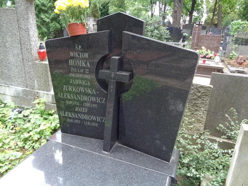 Zdjęcie grobu Józef Aleksandrowicz (2)