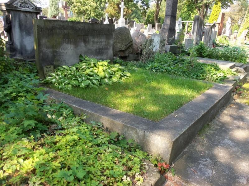 Zdjęcie grobu Antoni Rybarski (1)