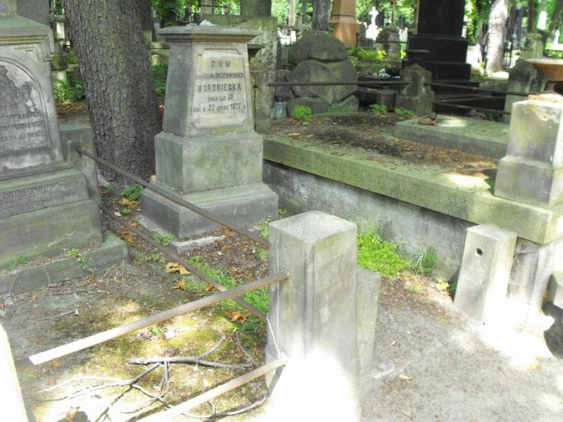 Zdjęcie grobu Julja Woroniecka (1)