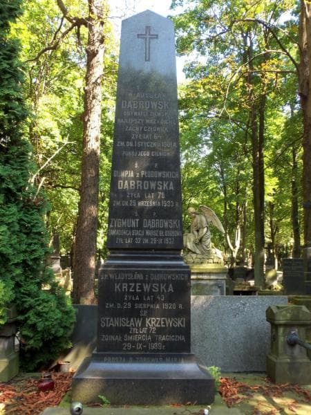 Zdjęcie grobu Władysława Krzewska (2)