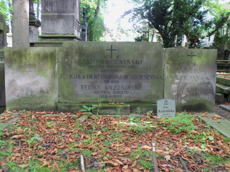 Zdjęcie grobu Tadeusz Krzesiński (2)