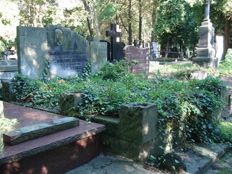 Zdjęcie grobu Marja Lustańska (1)