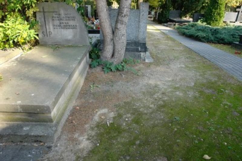 Zdjęcie grobu: Pole Grobowe