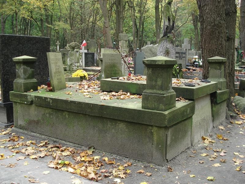 Zdjęcie grobu Włodzimierz Eborowicz (1)