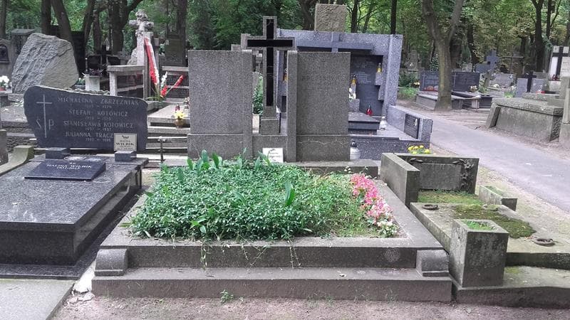 Zdjęcie grobu Alfreda Bogdanowicz (1)