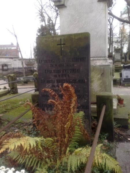 Zdjęcie grobu Teodor Kwieciński (1)