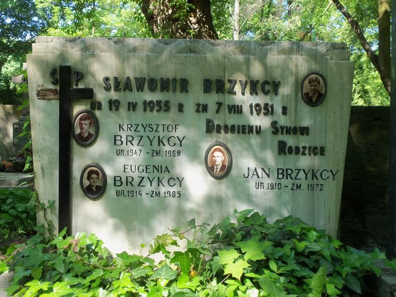 Zdjęcie grobu Jan Brzykcy (2)