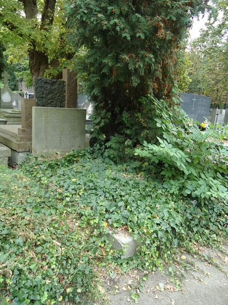 Zdjęcie grobu Leszek Guzicki (1)