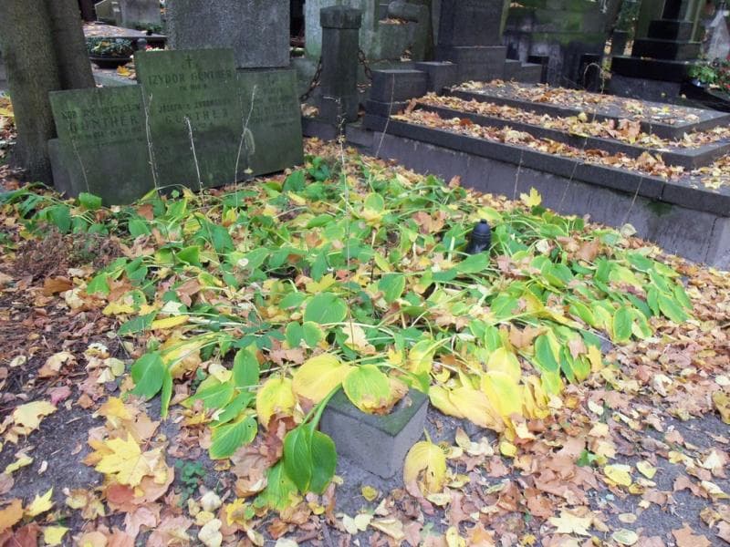 Zdjęcie grobu Józefa Gunther (1)