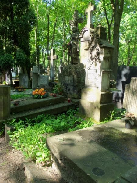 Zdjęcie grobu Alfonsa Nowakowska (1)