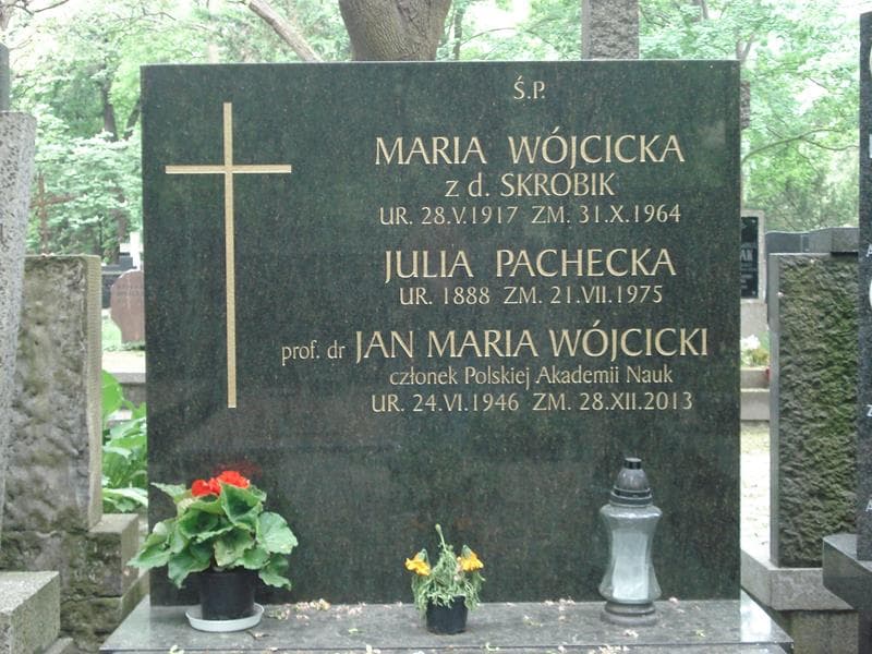 Zdjęcie grobu Jan Maria Wójcicki (1)