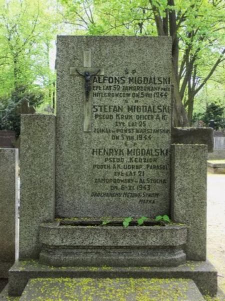 Zdjęcie grobu Stefan Migdalski (2)