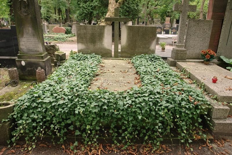 Zdjęcie grobu Zbigniew Rajmund Wyganowski (1)