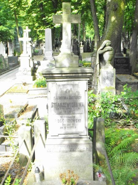 Zdjęcie grobu Ludwik Straszewicz (2)