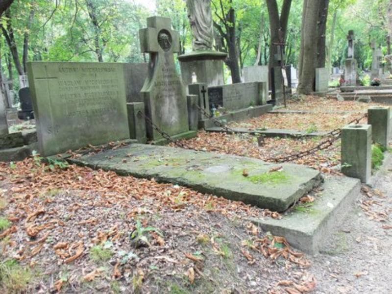 Zdjęcie grobu Wacław Michałowski (1)