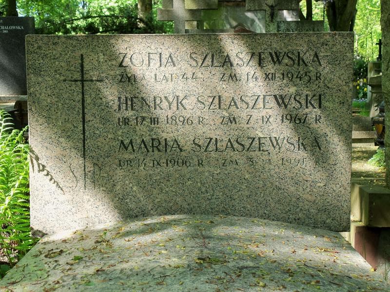 Zdjęcie grobu Henryk Szlaszewski (2)