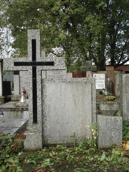 Zdjęcie grobu Leokadia Walczyńska (2)