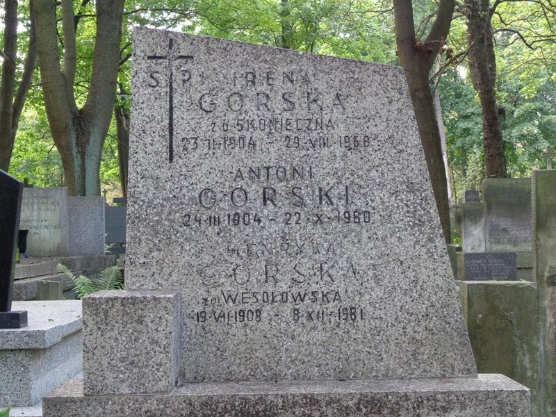 Zdjęcie grobu Irena Górska (2)