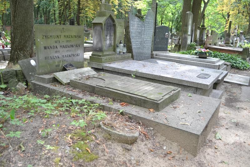 Zdjęcie grobu: Henryk Markowski