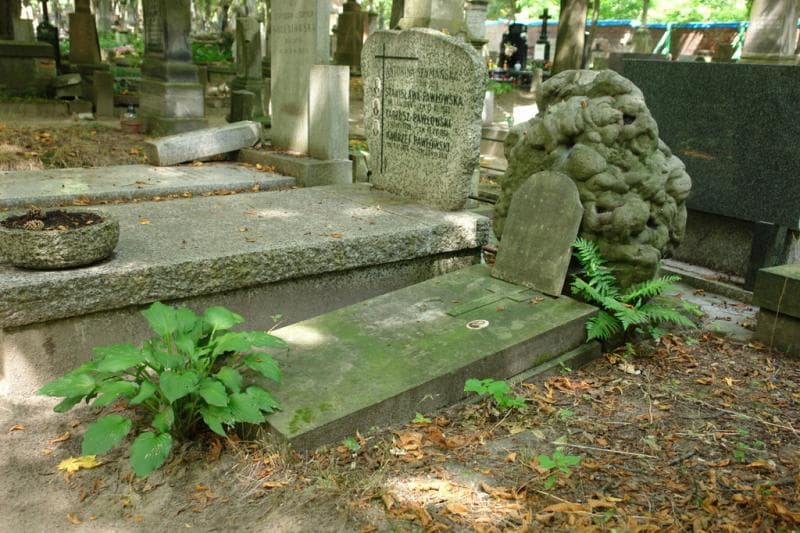 Zdjęcie grobu Stanisław Przegaliński (1)